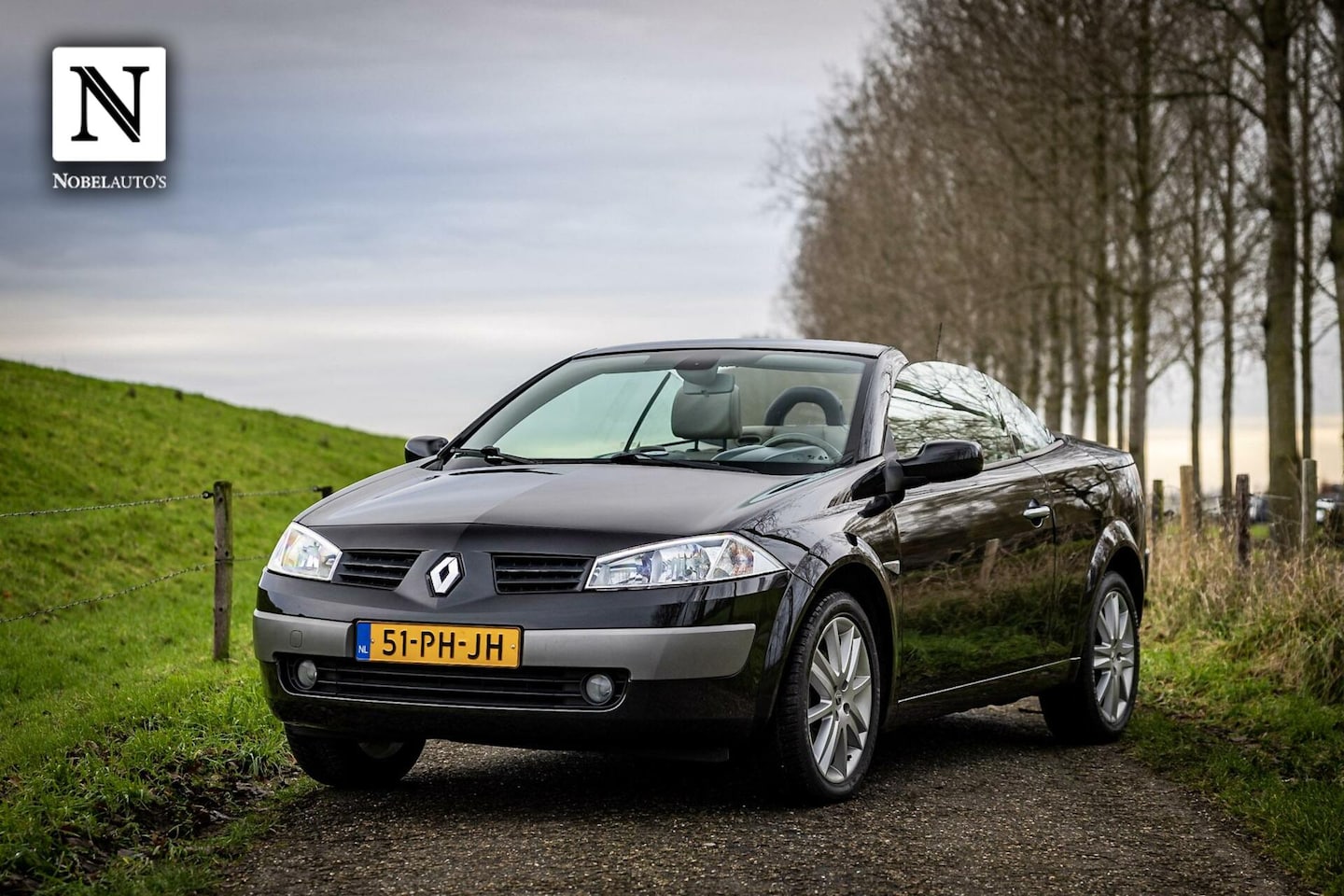 Renault Mégane coupé cabriolet - 2.0-16V Privilège Luxe 2.0-16V Privilège Luxe| - AutoWereld.nl