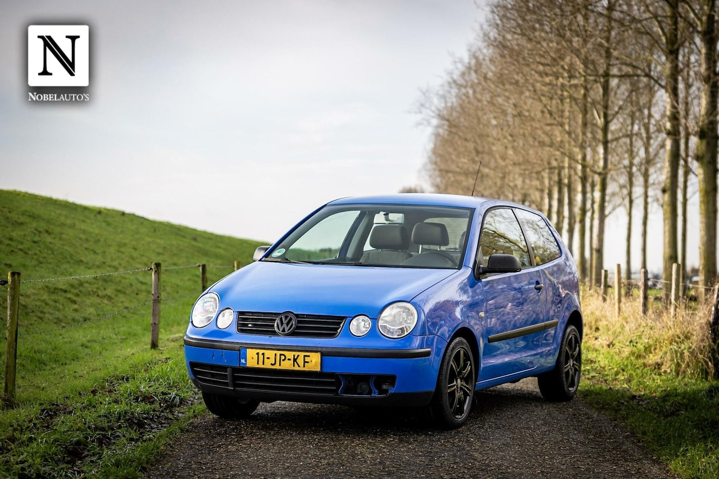 Volkswagen Polo - 1.2-12V | Nap | Apk 11-25 | LM Velgen | 3Drs - AutoWereld.nl