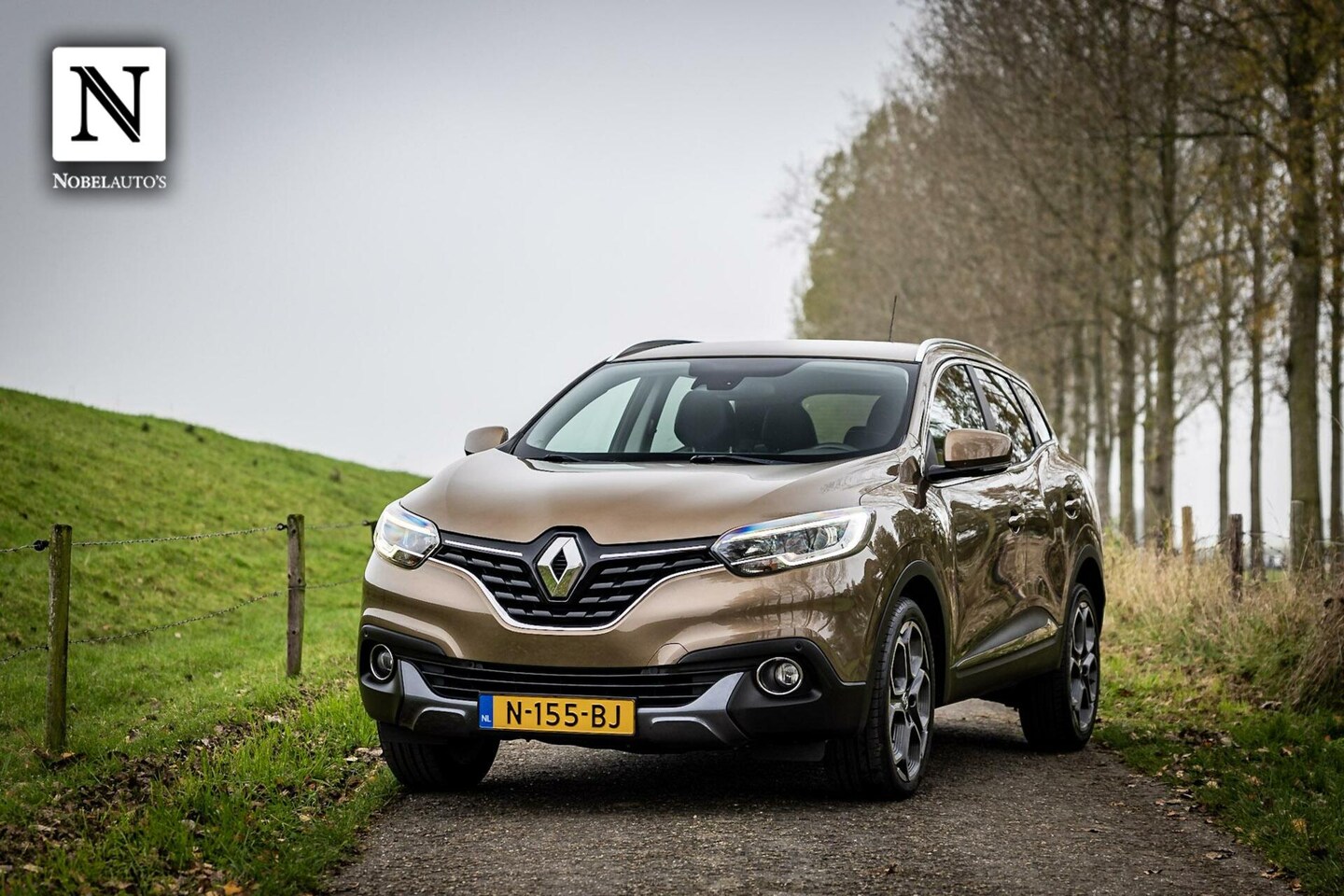 Renault Kadjar - 1.2 TCe Bose | Trekhaak | 19Inch | Bose - AutoWereld.nl