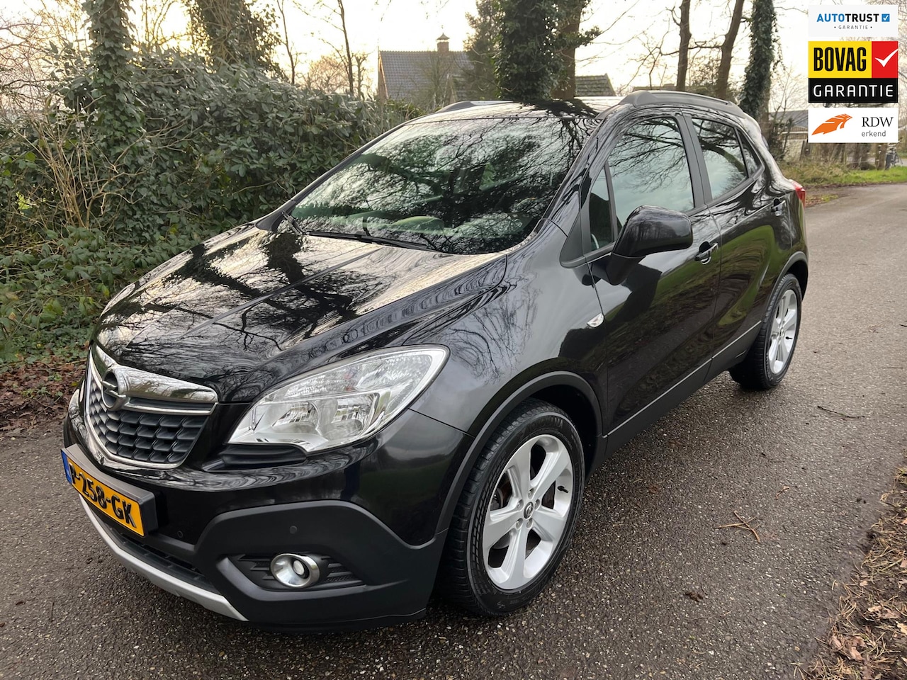 Opel Mokka - 1.6 Cosmo Airco / PDC / Trekhaak / Cruise - AutoWereld.nl