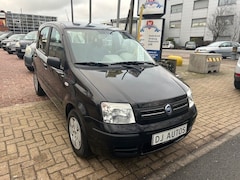 Fiat Panda - 1.2 NAVIGATOR