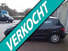 Peugeot 307 - 1.6-16V XS APK 2026