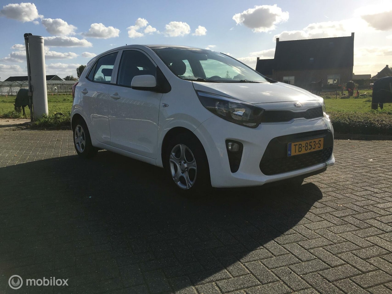 Kia Picanto - 1.0 CVVT ExecutiveLine 5drs AIRCO Stuurwielbed. Bleuth.USB Etc 1e Eigenaar - AutoWereld.nl