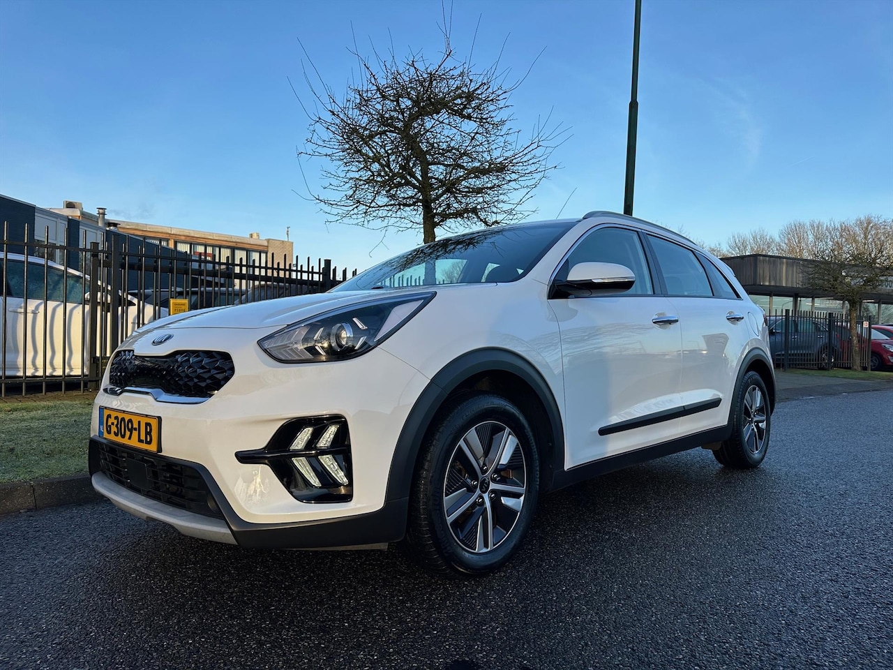 Kia Niro - 1.6 GDi Hybrid 141pk DCT6 DynamicLine Clima Navi Thaak - AutoWereld.nl