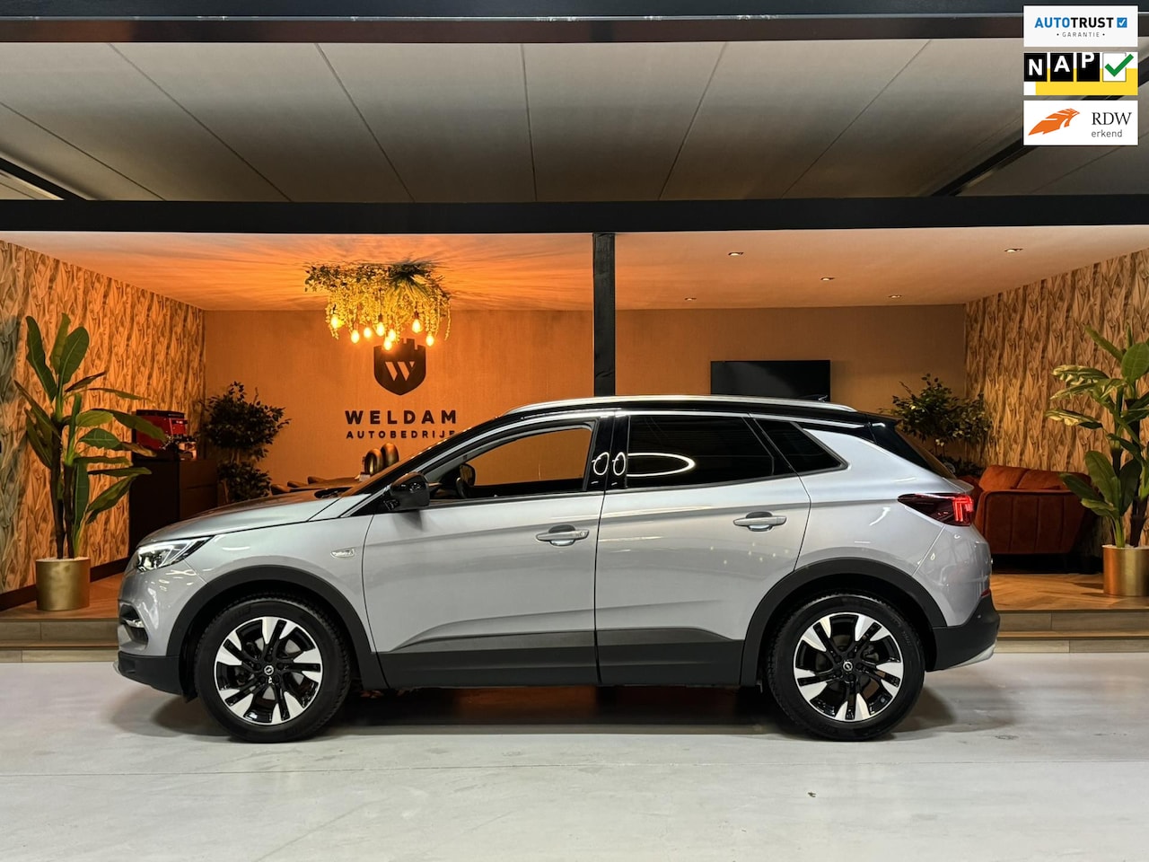 Opel Grandland X - 1.2 Turbo Business Executive Trekhaak Navi Carplay Camera Rijklaar - AutoWereld.nl