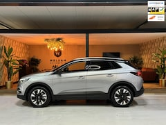 Opel Grandland X - 1.2 Turbo Business Executive Trekhaak Navi Carplay Camera Rijklaar