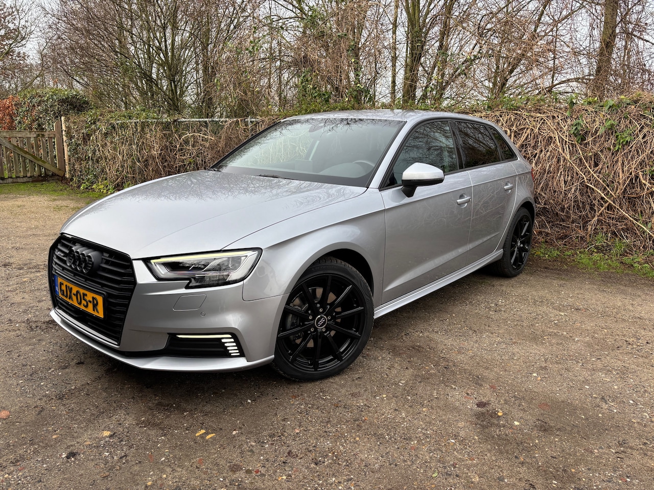 Audi A3 Sportback - 40 e-tron Advance Sport | Keyless | Nw banden | Stoelv | Incl btw | Navi | S-tronic - AutoWereld.nl