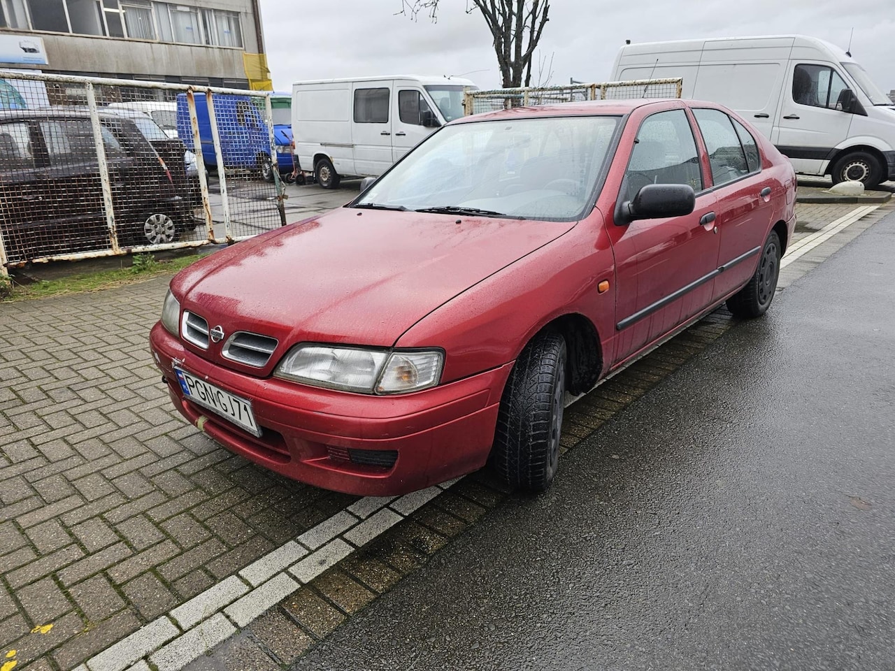 Nissan Primera - 1.6 LX HB +31641468730 - AutoWereld.nl