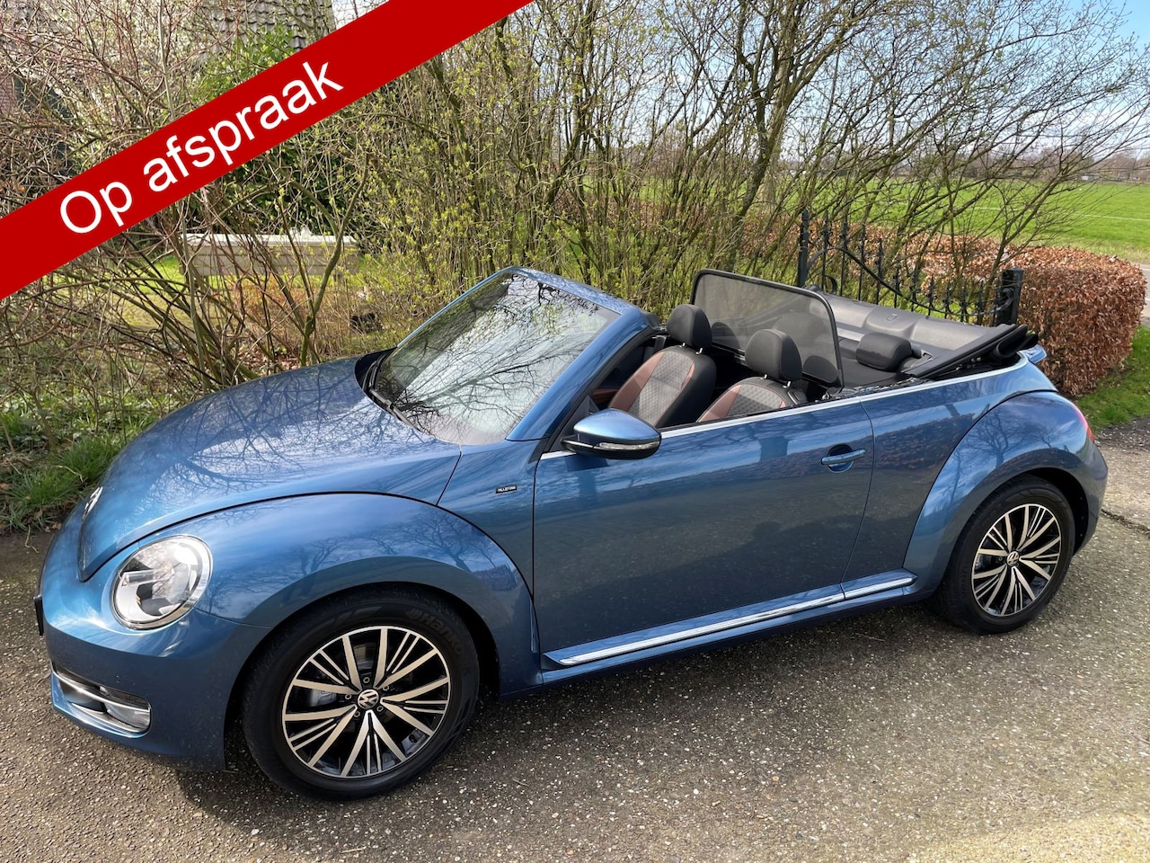 Volkswagen Beetle Cabriolet - Allstar Blue Motion Tech 1.2 TSI ( 4 x Beetle cabrio op voorraad ) - AutoWereld.nl