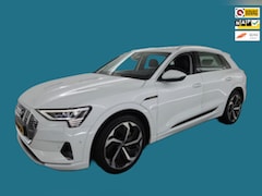 Audi e-tron - 55 quattro Business edition Plus 95 kWh Pano, Leder, Camera