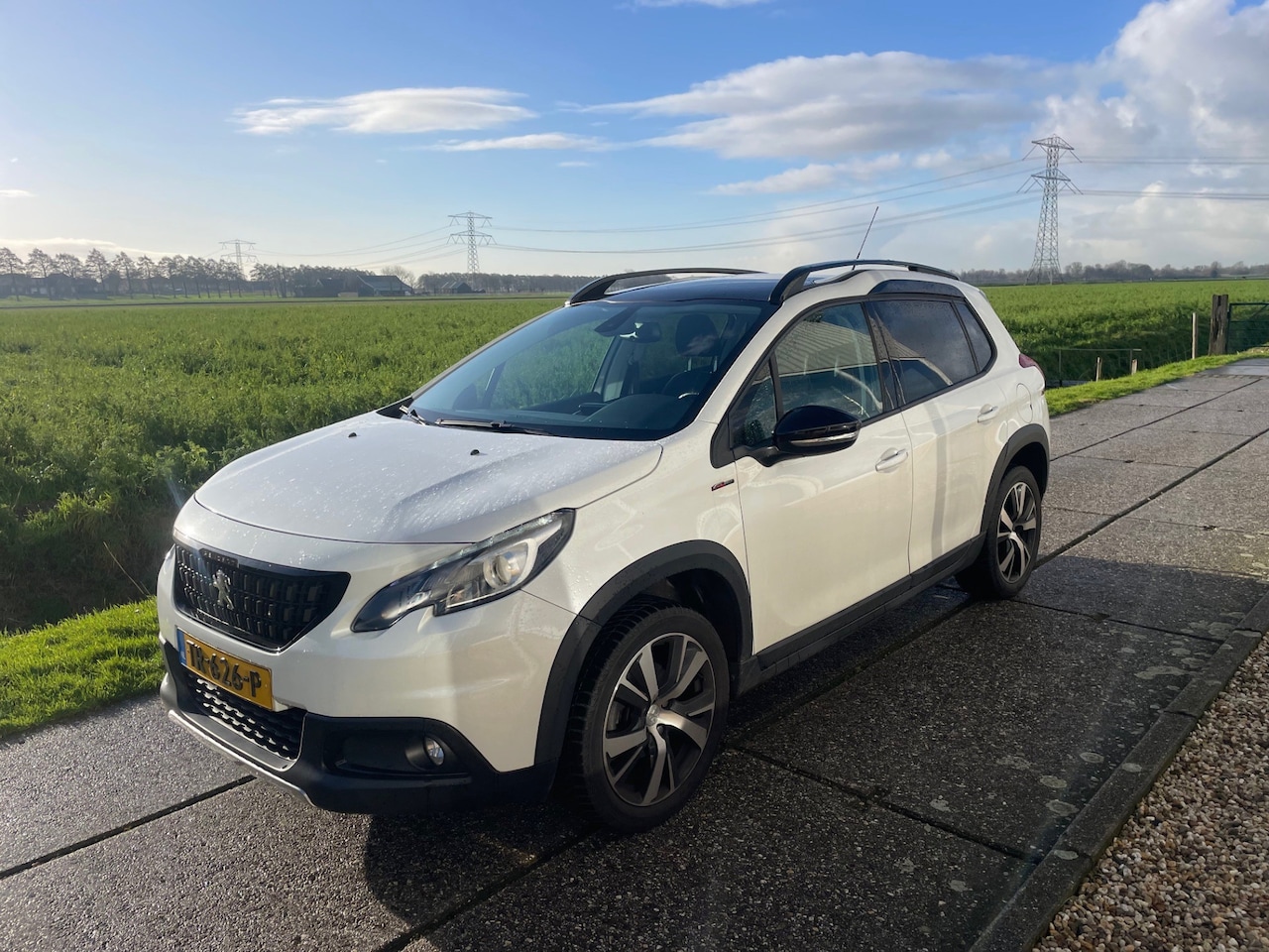 Peugeot 2008 - 1.2 PureTech GT-Line 1.2 PureTech GT-line, Panoramadak, Trekhaak - AutoWereld.nl