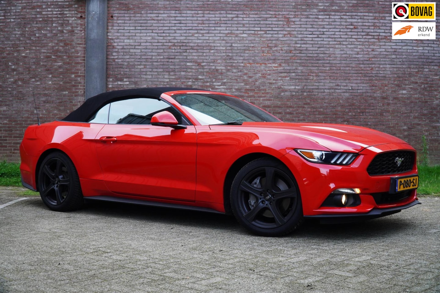 Ford Mustang Convertible - 2.3 EcoBoost 2.3 EcoBoost 317PK, Navigatie, A.rijcamera, Climat control, REMUS uitlaat. - AutoWereld.nl