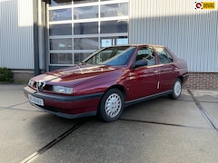 Alfa Romeo 155 - 1.7 T.Spark