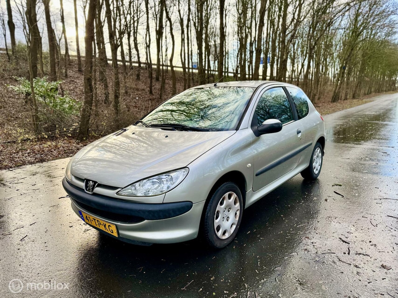 Peugeot 206 - 1.4 One-line - NEW APK 01/2026 - NAP - AIRCO - AutoWereld.nl