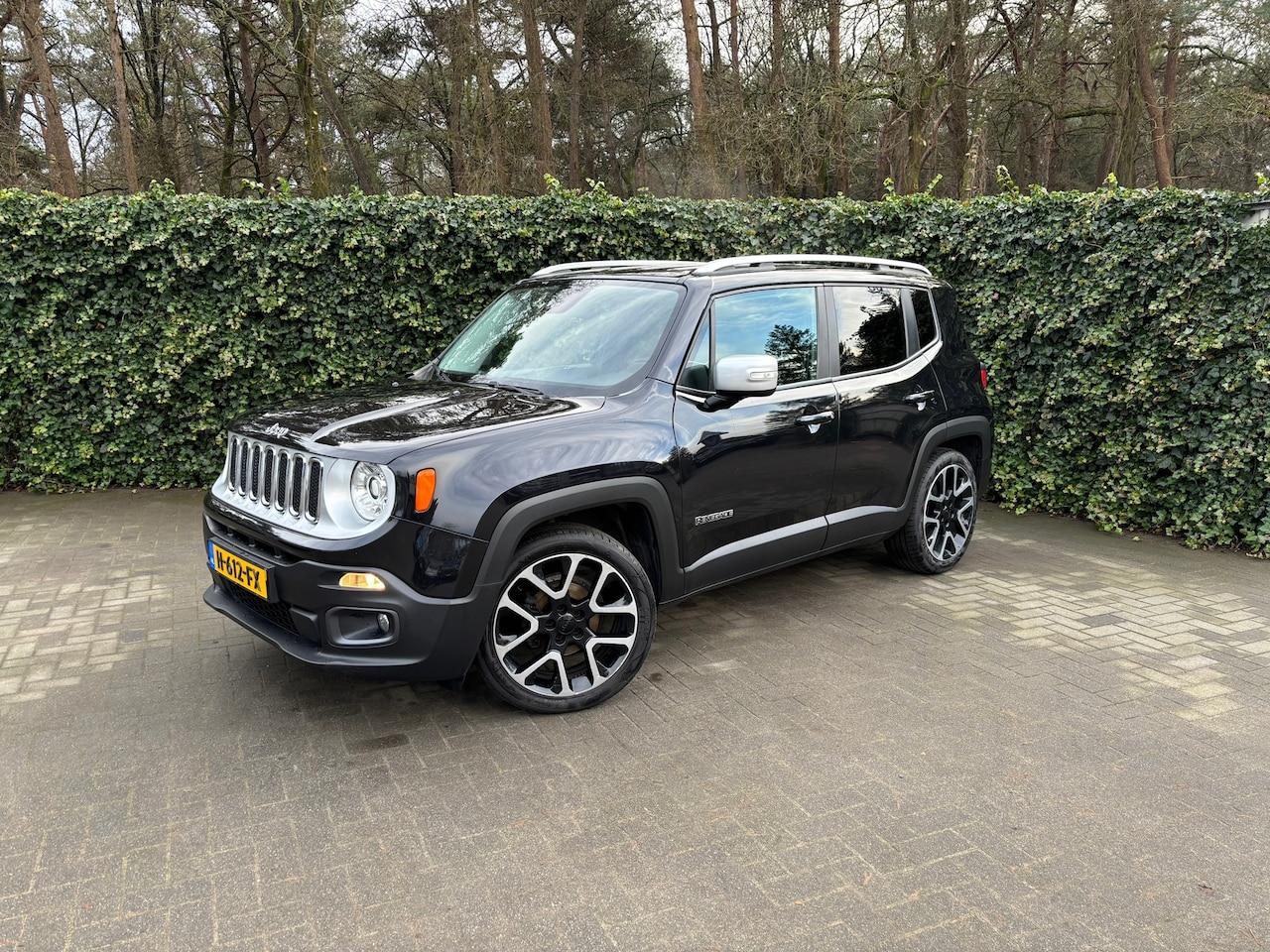 Jeep Renegade - 1.4 MultiAir Limited | Navi | Clima | Cruise - AutoWereld.nl