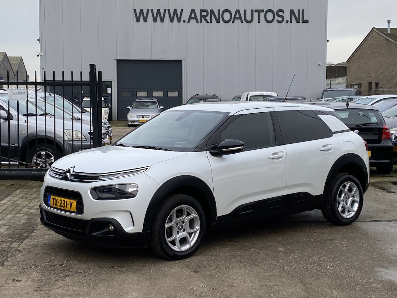 Citroën C4 Cactus - 1.6 BlueHDi Business 1.6 BlueHDi Business, NW MODEL 2019, AIRCO(CLIMA), CRUISE CONTROL, PARKEERSENSOREN, GROOT - AutoWereld.nl