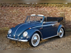 Volkswagen Beetle Cabriolet - Type 1 1200 Convertible Kever Beautifully and professional restored inside and out, In the