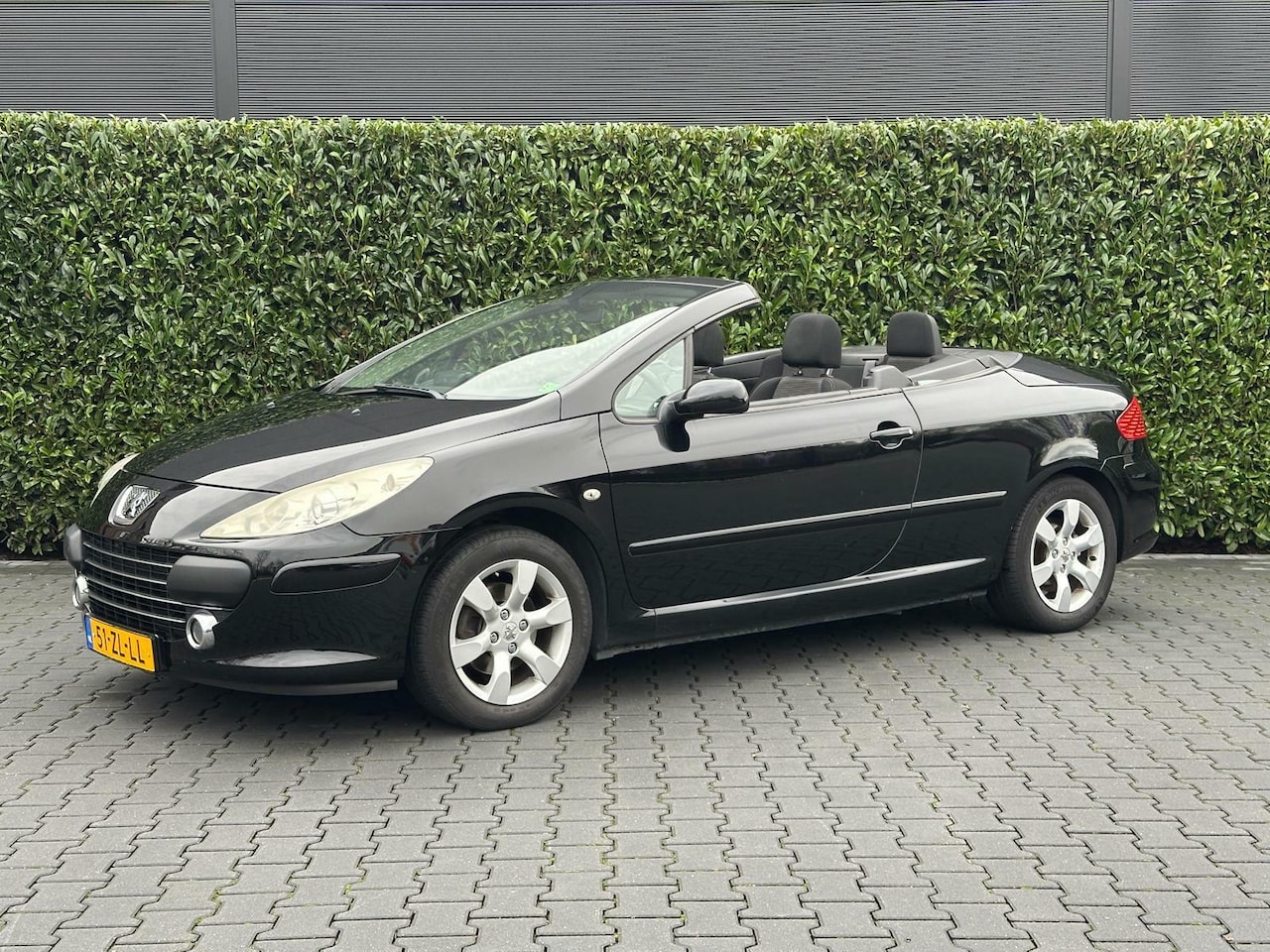 Peugeot 307 CC - 2.0-16V NL AUTO, NAP, ECC-AIRCO, CRUISE, PDC, LICHTMETAAL 16, AUTOMAAT - AutoWereld.nl