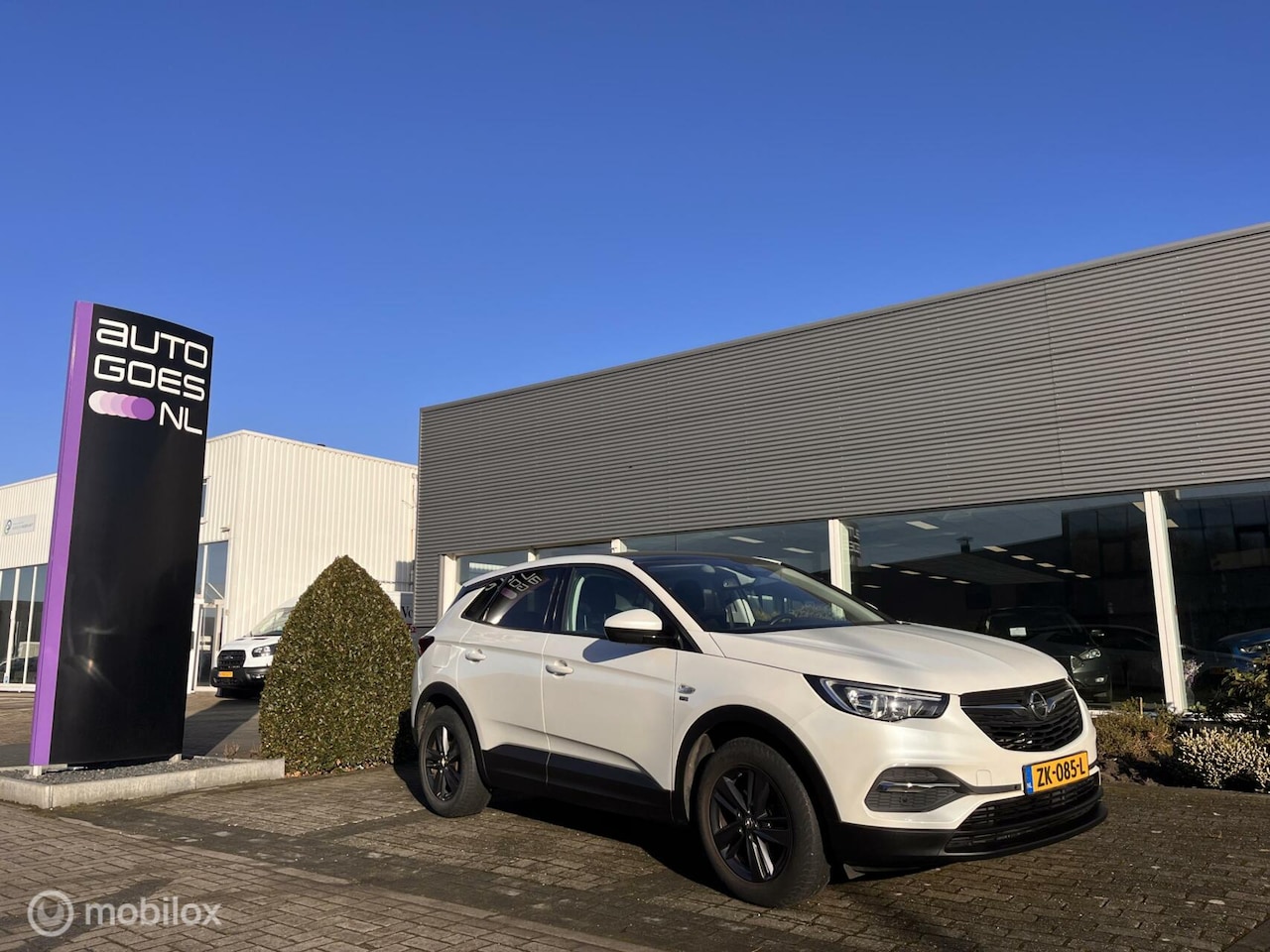 Opel Grandland X - 1.2 T 120 Jr Edition+ I Panodak I Trekhaak - AutoWereld.nl