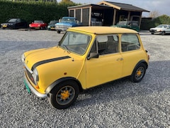 MINI 1000 - Classic