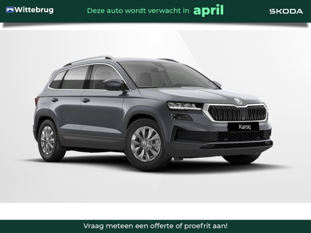 Skoda Karoq - 1.5 TSI ACT Business Edition 17" lichtmetalen velgen / Adaptive Cruise Control / Design Pa - AutoWereld.nl