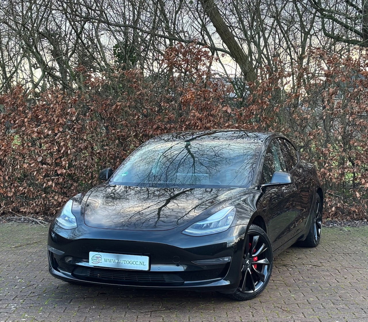 Tesla Model 3 - Long Range RWD Long Range AWD 75kWh AUTOPILOT PANO NAP BTW - AutoWereld.nl