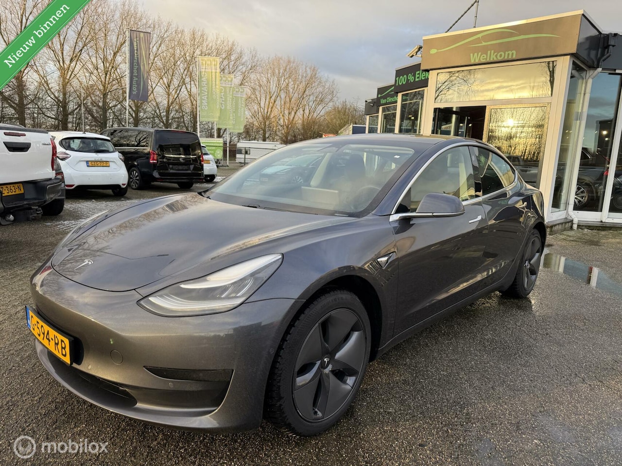 Tesla Model 3 - Standard RWD Plus 60 kWh - AutoWereld.nl