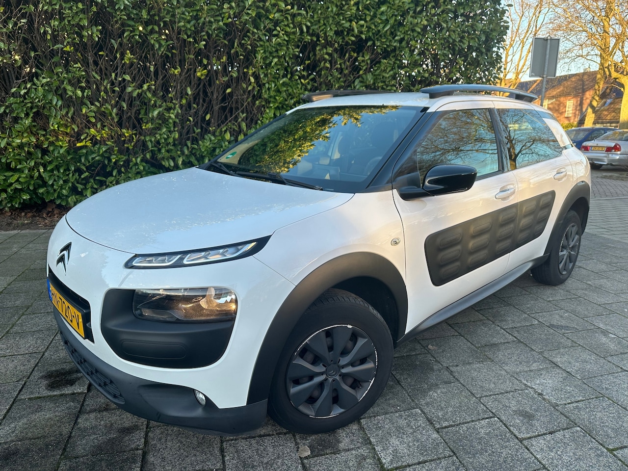 Citroën C4 Cactus - MET NAVIGATIE, AIRCO & JAAR APK! - AutoWereld.nl