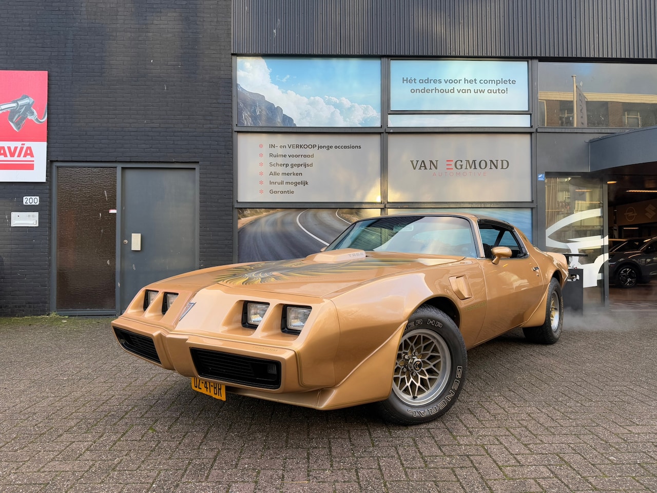 Pontiac Firebird - 6.6 FW 87 Trans Am T, Automaat - AutoWereld.nl