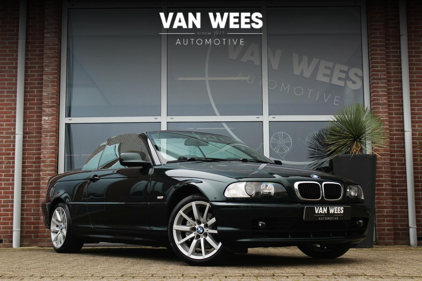 BMW 3-serie Cabrio - 320Ci E46 Executive | 170 pk | 6 cilinder | Sportstoelen | Leer | M-stuur | Xenon | 17 inc - AutoWereld.nl