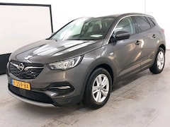 Opel Grandland X - Turbo 130pk Business Navi, Camera, trekhaak