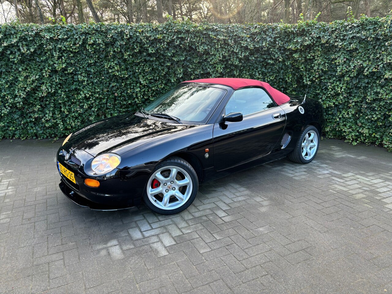 MG F - 1.8i Sport | Liefhebbers Auto| Leer | Gunstige Kilometerstand | BINNEN SLAPER! | Nederland - AutoWereld.nl