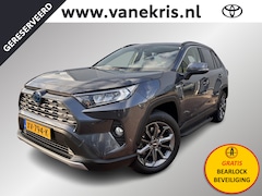 Toyota RAV4 - 2.5 Hybrid First Edition, Trekhaak, 360 Camera , Treeplanken, Navigatie, BEARLOCK ACTIE