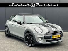 MINI One - Cooper Look Airco PDC Sportstuur Stoelverwarming