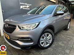 Opel Grandland X - 1.2 Turbo Business Edition Carplay | Cruise control | PDC voor en achter |