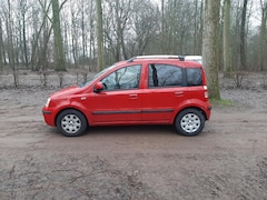 Fiat Panda - 1.2 Edizione Cool