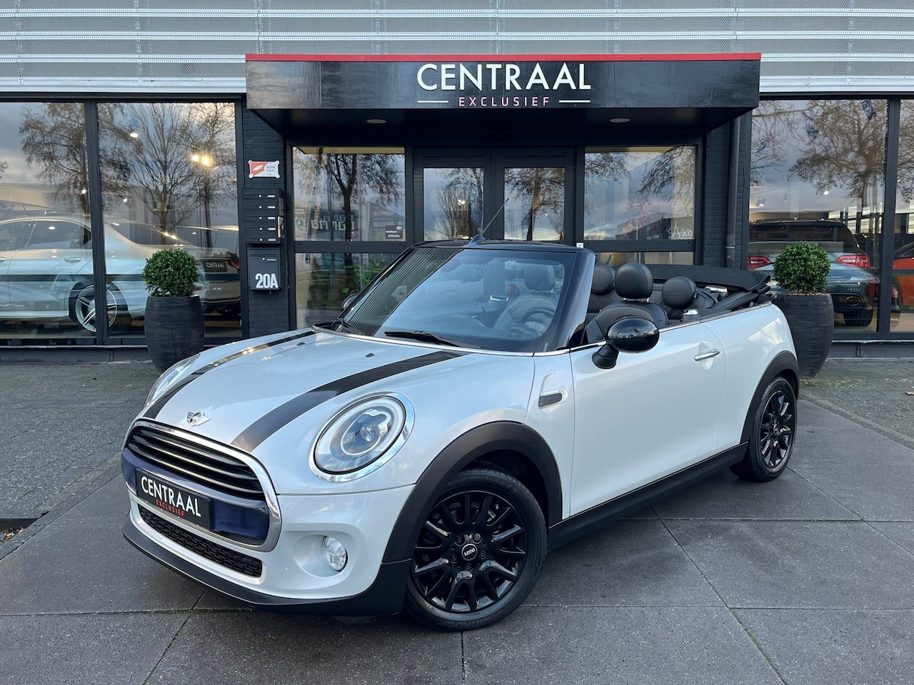 MINI Cabrio - Mini 1.5 Cooper Chili 136PK|Keyless|Leder|Stoelverwarming|Cruise Control|Ambient Light|NL- - AutoWereld.nl