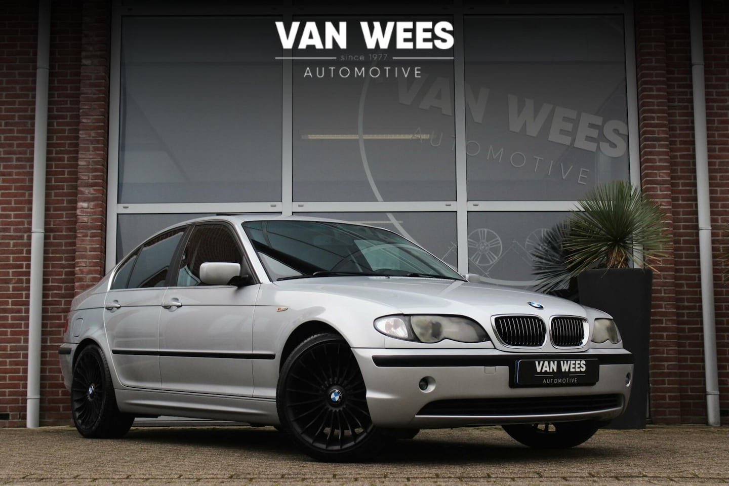 BMW 3-serie - 320i E46 Sedan Facelift | 170 pk | 6 cilinder | Dakraam | 18 inch | PDC | Cruise-control | - AutoWereld.nl