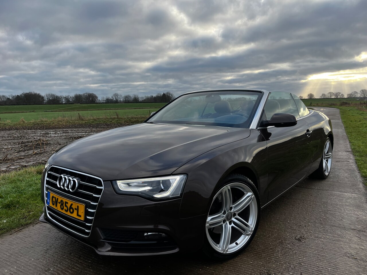 Audi A5 Cabriolet - 1.8 TFSI Pro Line - AutoWereld.nl