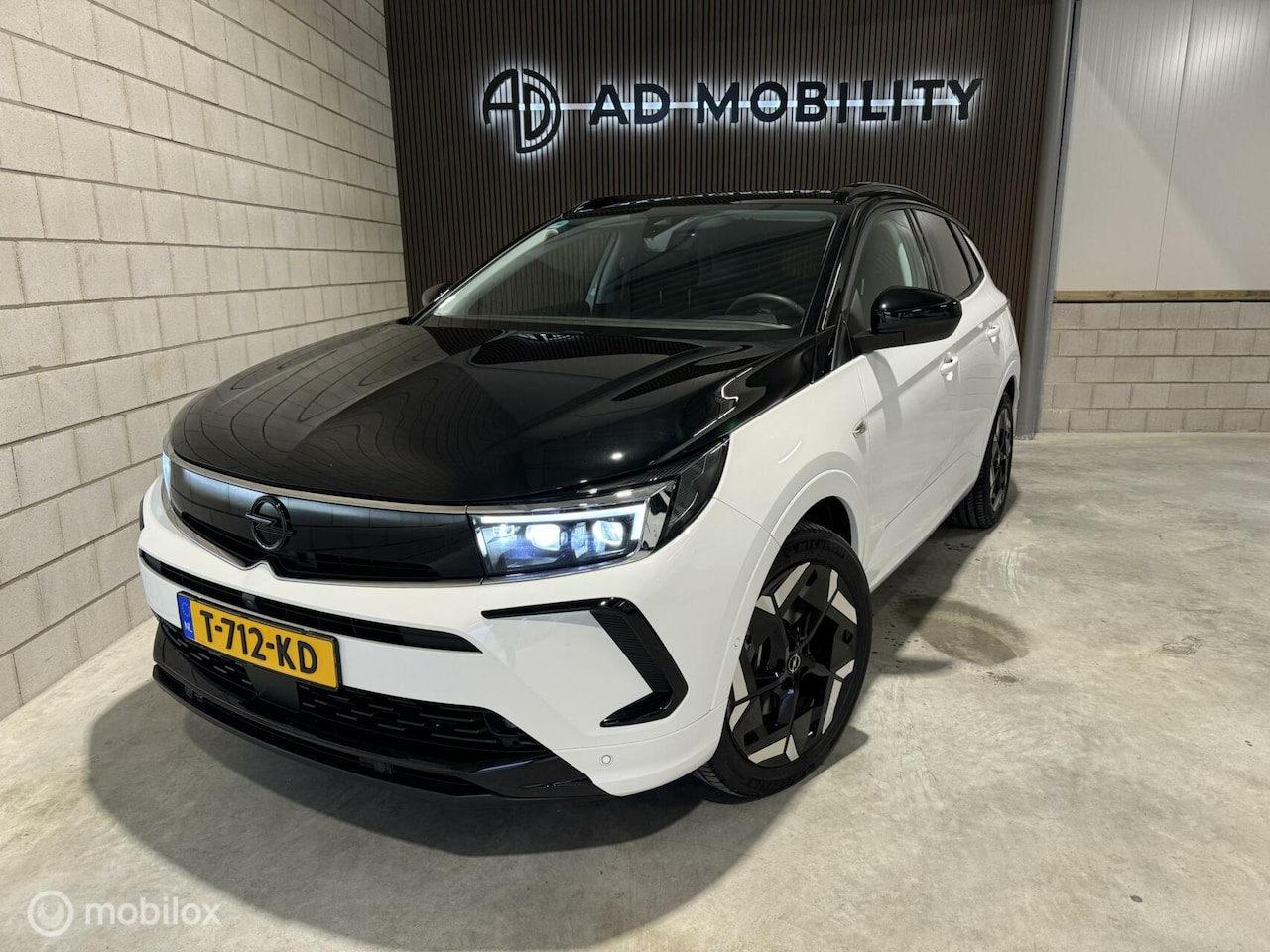 Opel Grandland - 1.6 Turbo Plug-In Hybrid 4x4 GSe ACC Lane - AutoWereld.nl