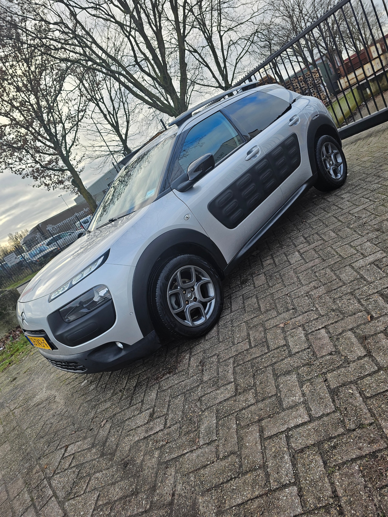 Citroën C4 Cactus - 1.2 e-THP Business - AutoWereld.nl