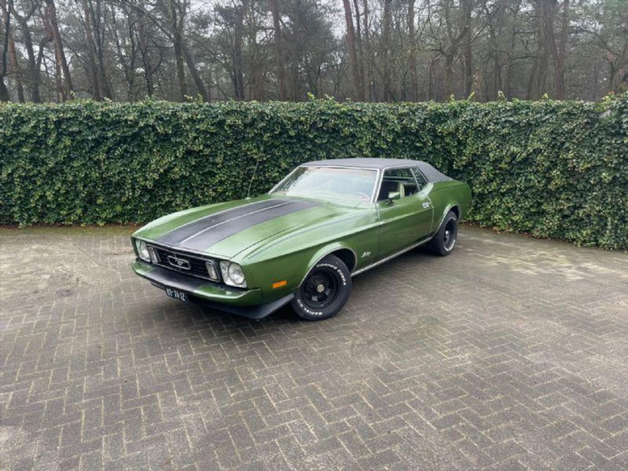 Ford Mustang - Grande 4.9 V8 Automaat | LPG | 1973 | APK vrij - AutoWereld.nl