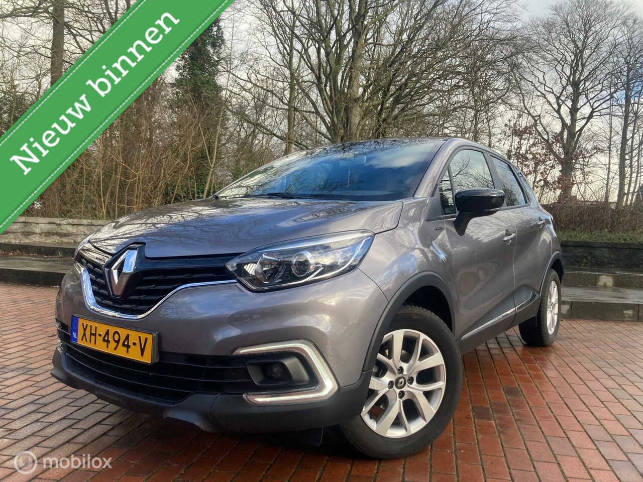 Renault Captur - 0.9 TCe Limited 0.9 TCe Limited, achteruitrijcamera/cruise/ - AutoWereld.nl