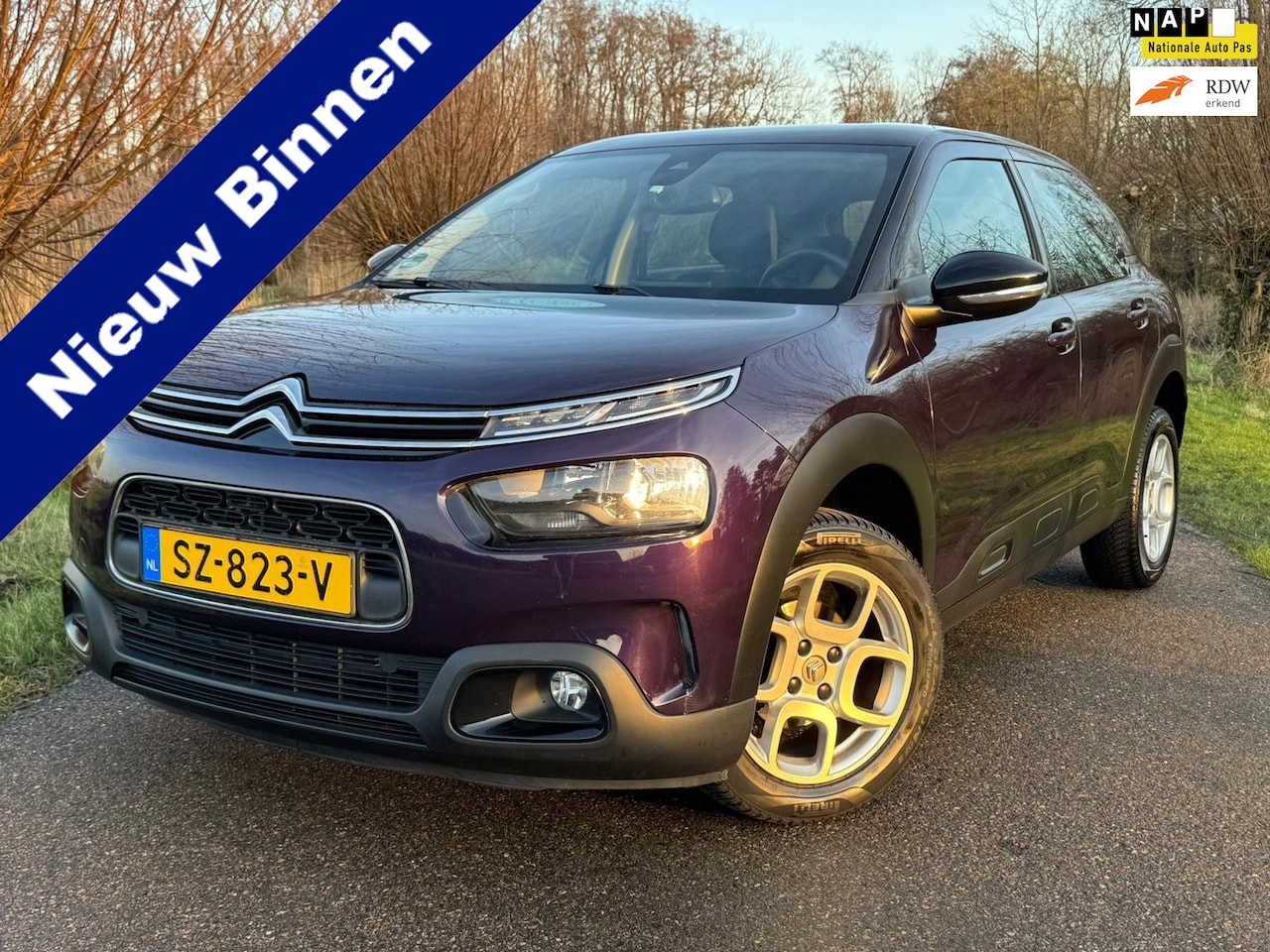 Citroën C4 Cactus - 1.2 PureTech Business / Airco / Navigatie / Cruise Control / PDC / LMV / NAP - AutoWereld.nl