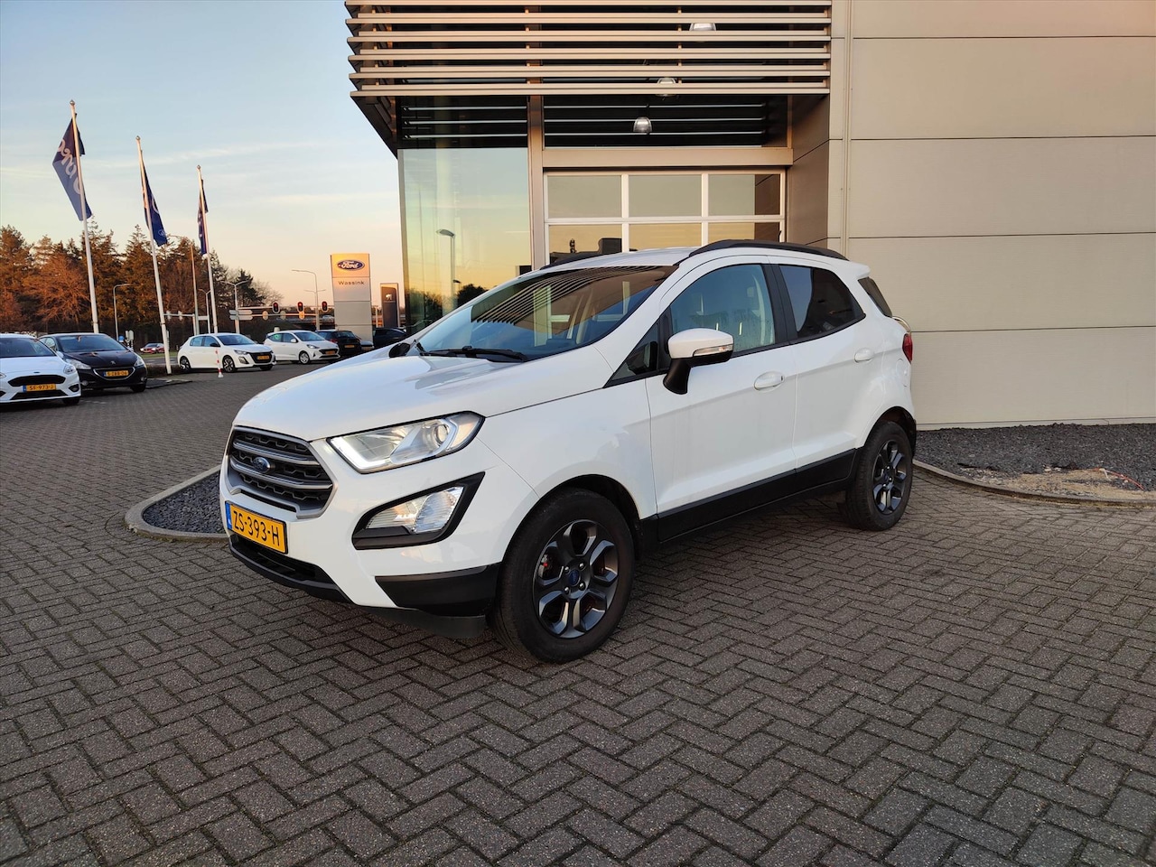 Ford EcoSport - 1.0 EcoBoost Trend Ultimate 1.0 EcoBoost 125pk Trend Ultimate - AutoWereld.nl