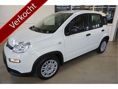 Fiat Panda - 1.0 Hybrid City Life Airco - DAB