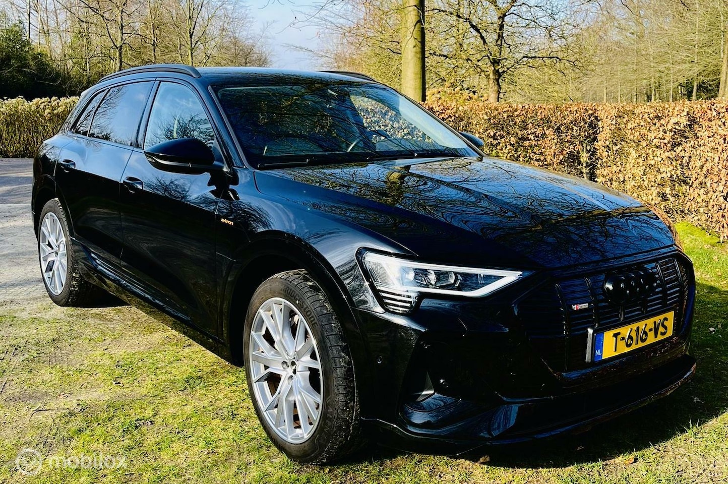 Audi e-tron - 50 quattro S Line Black 313pk - AutoWereld.nl