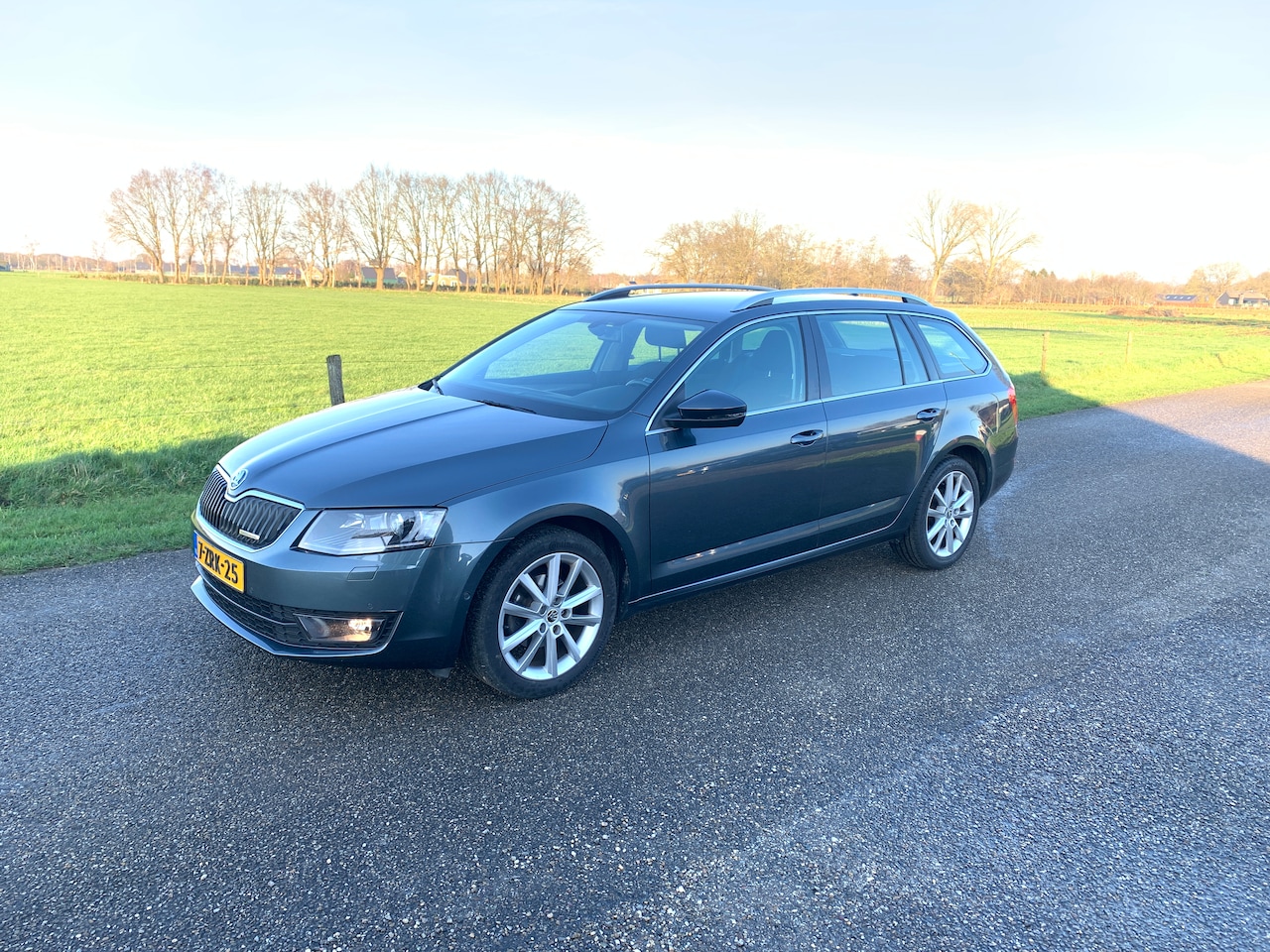 Skoda Octavia Combi - 1.2 TSI Greentech Elegance Businessline ZEER RUIME GEZINSWAGEN  VOL OPTIES - AutoWereld.nl