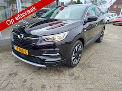 Opel Grandland X - 1.5 CDTi Business Executive Lederen bekleding, Cruise control, Trekhaak , A uitrijcamera,