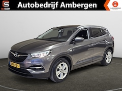 Opel Grandland X - 1.2 Turbo (130Pk) Business+ Navi Camera Géén Afleverkosten